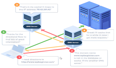 Domain name registration process and search interface